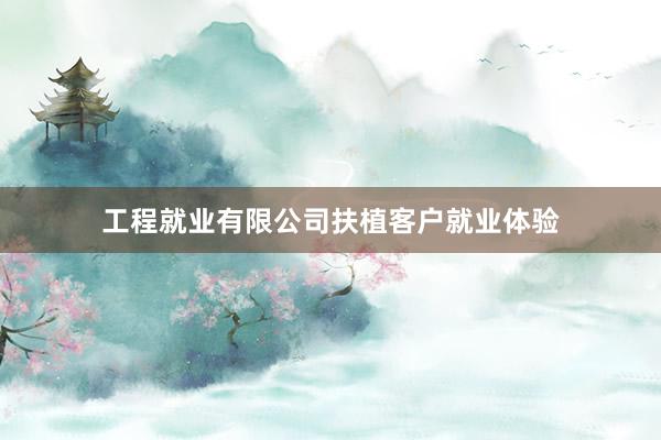 工程就业有限公司扶植客户就业体验