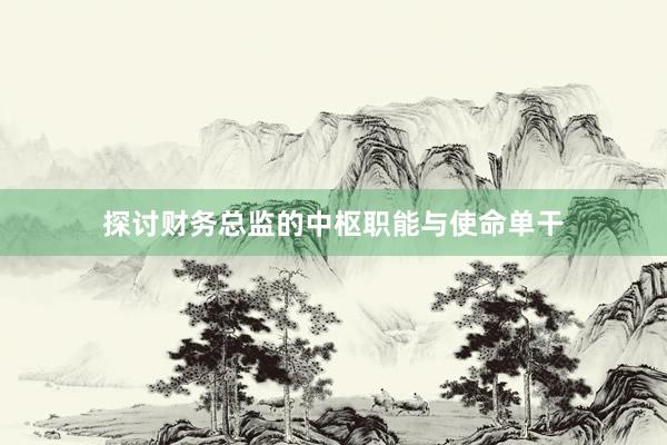 探讨财务总监的中枢职能与使命单干