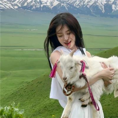 五年深情终成殇