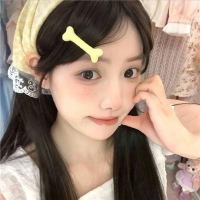 机甲少女 Frame Arms Girl